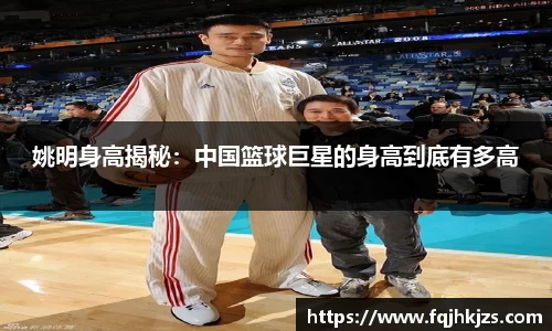 彩神VI首页官网
